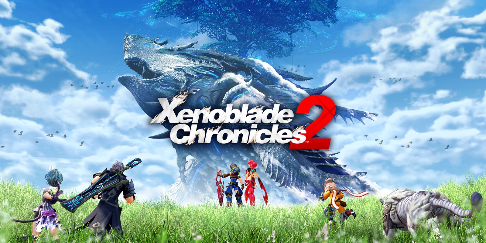 H2x1_NSwitch_XenobladeChronicles2_image1